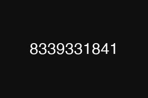 8339331841