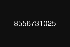 8556731025