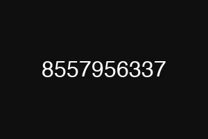 8557956337