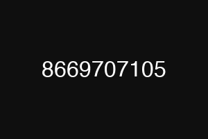 8669707105
