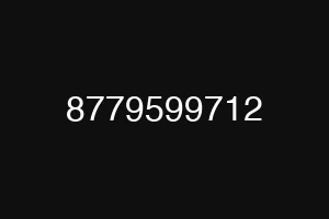 8779599712
