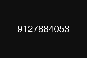 9127884053