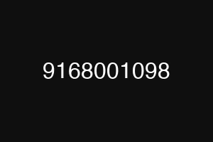 9168001098