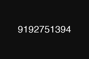 9192751394