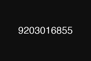 9203016855