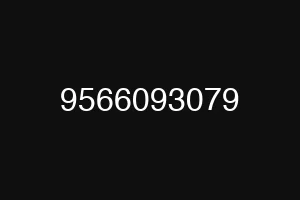 9566093079