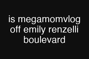 is megamomvlog off emily renzelli boulevard